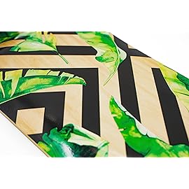 MINORITY Downhill Maple Longboard | 40-inch Drop Trough Deck | Made for Cruising Urban Commuting Ride (Tropical)