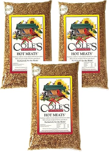 Cole's Hot Meats - Alimento para aves silvestres variadas, carnes de girasol, 5 libras