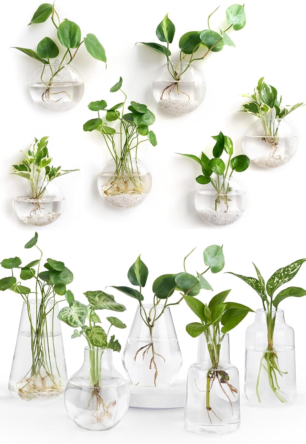 Mkono Wall Hanging Glass Terrariums and Propagation Vases for Plants, Bathroom, Home Office Living Room Decor