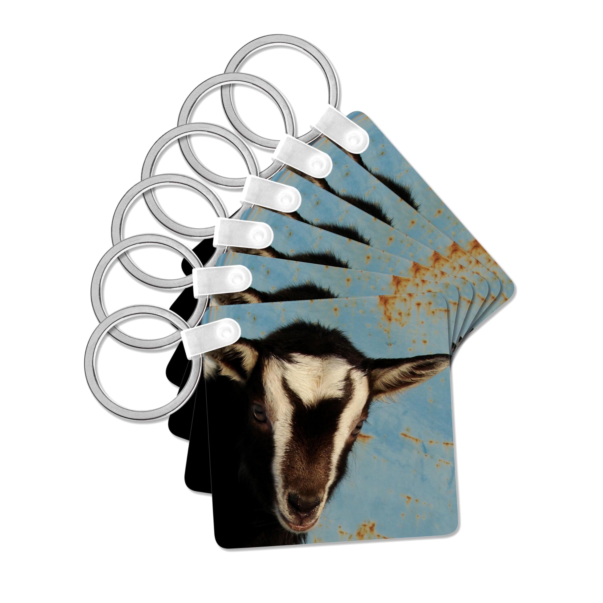 3dRose, Moo the Goat Kid by Angelandspot, set of 6 Key Chains