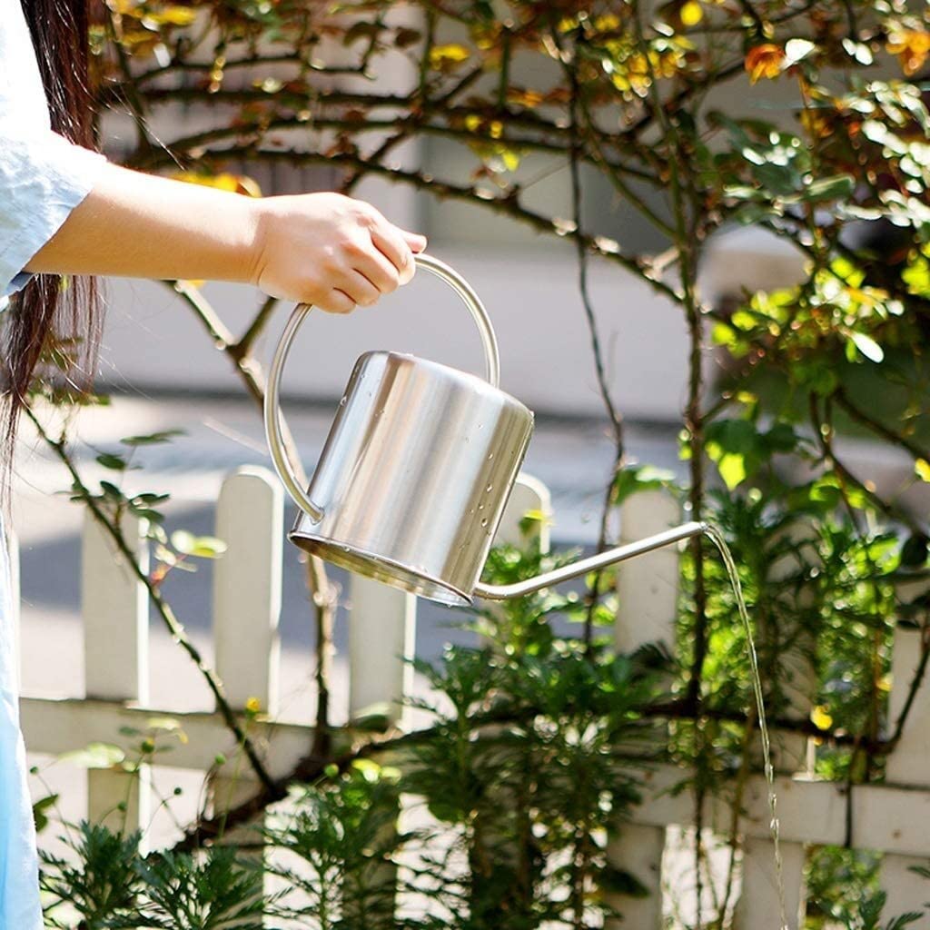Regadera, Decorativa Moderna Regadera De Acero Inoxidable, Jardinería En Maceta para Regar Plantas, Flores Latas de Riego(Blue,Silver,1L)