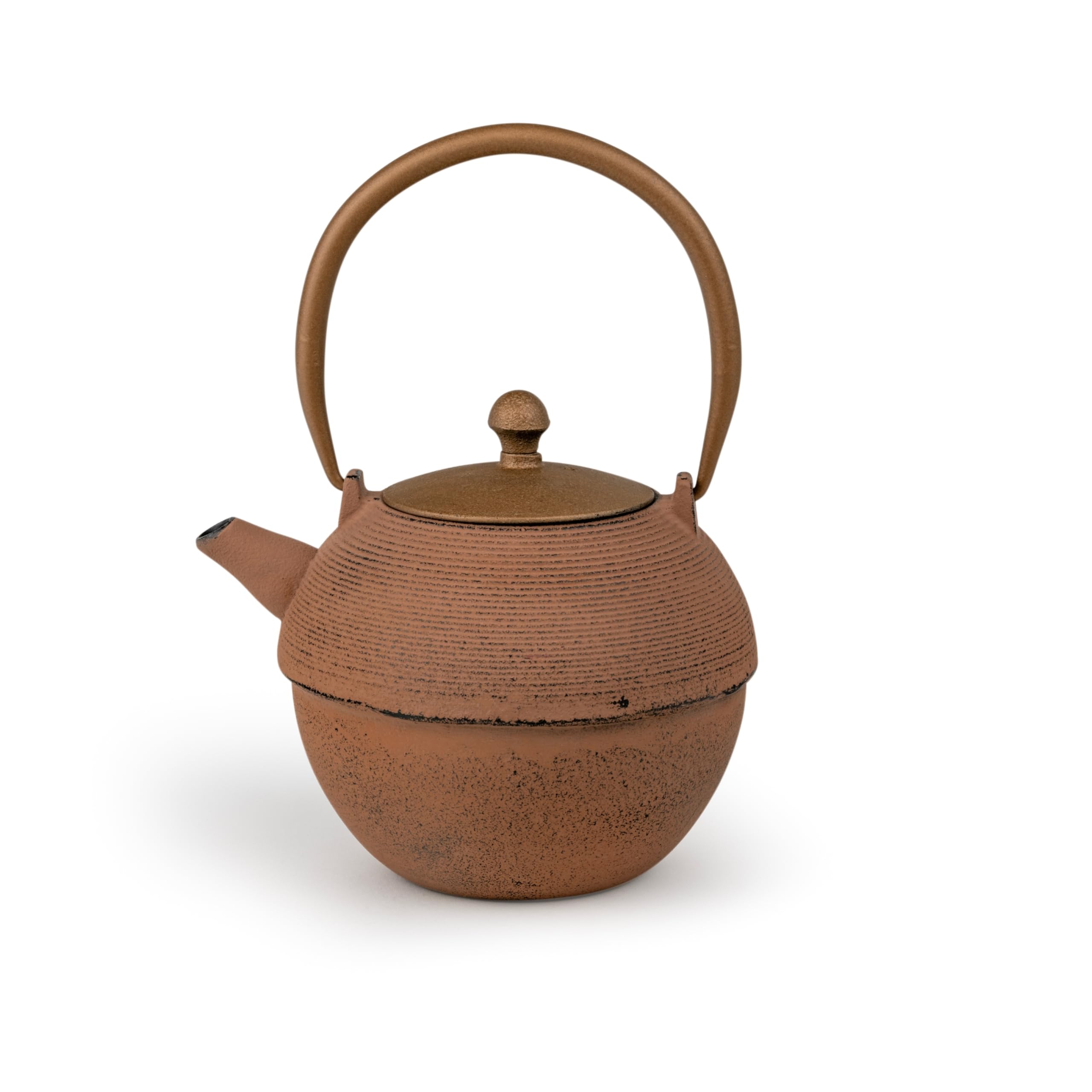 Théière en fonte asiatique de 1,2L idéale pour vos rituels bien-être de l'après-midi