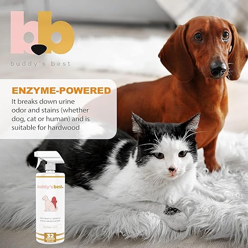 Miniatura 6 de Buddy's Best Eliminador de olores de orina para mascotas y removedor de manchas de mascotas, menta de bambú, removedor enzimático de olor de orina