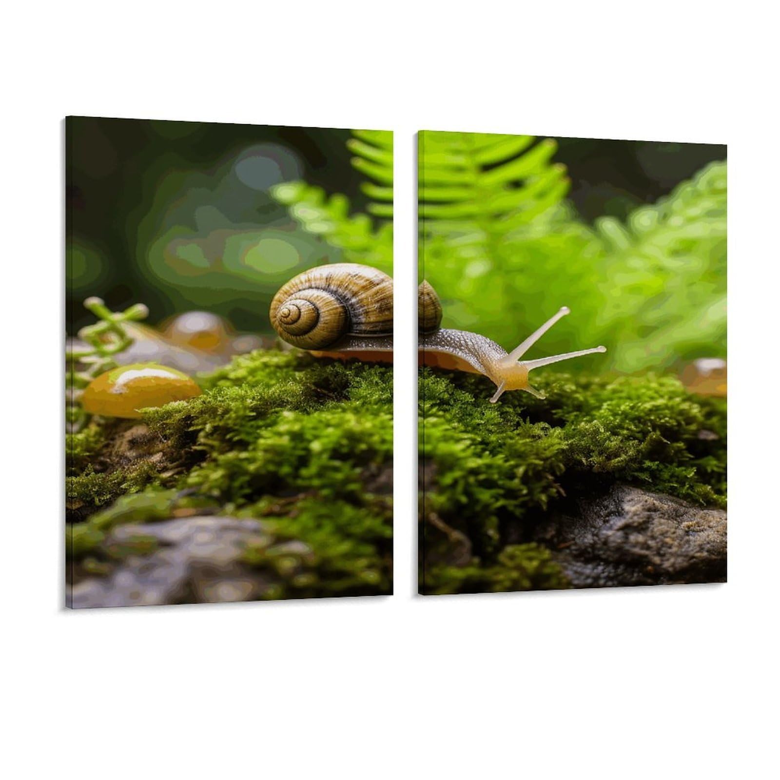 Adfgyerh Style Snail Crawling Wall Art，Canvas Material Bright /Wall Decor Of 2, Each 16X12 Inch -Wall Art Set For Living Room Bedroom Gallery Office Home Décor