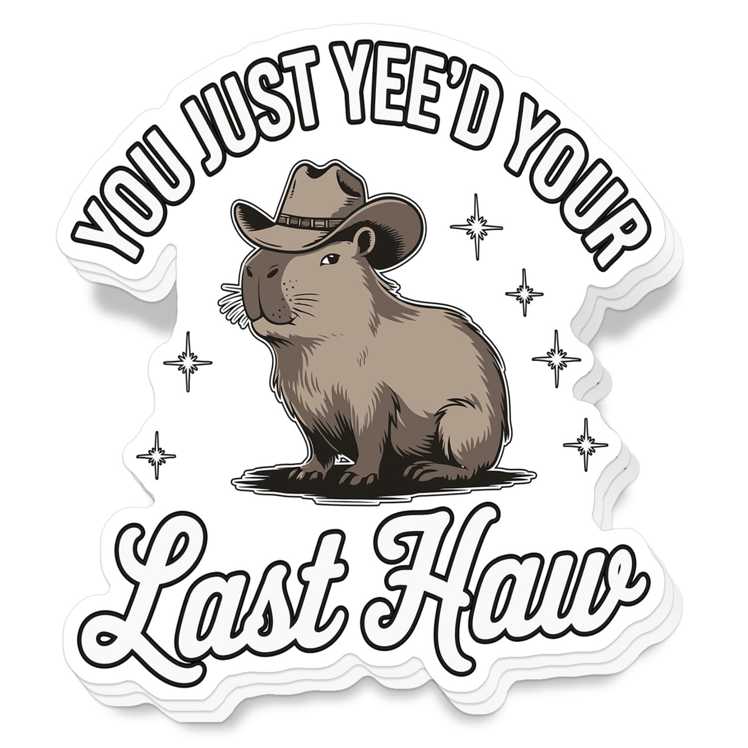 Photo 1 of (3Pcs) You Just Yee'd Your Last Haw Stickers Size 3'' Funny Cowboy Capybara Waterproof Sticker for Water Bottle, Stanley Cup, Laptop, Skateboard, Car