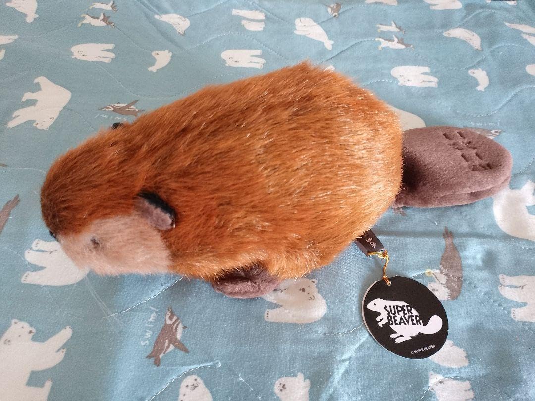 Amazon.co.jp: SUPERBEAVER ぬいぐるみ 吉徳 スーパービーバーちゃん 