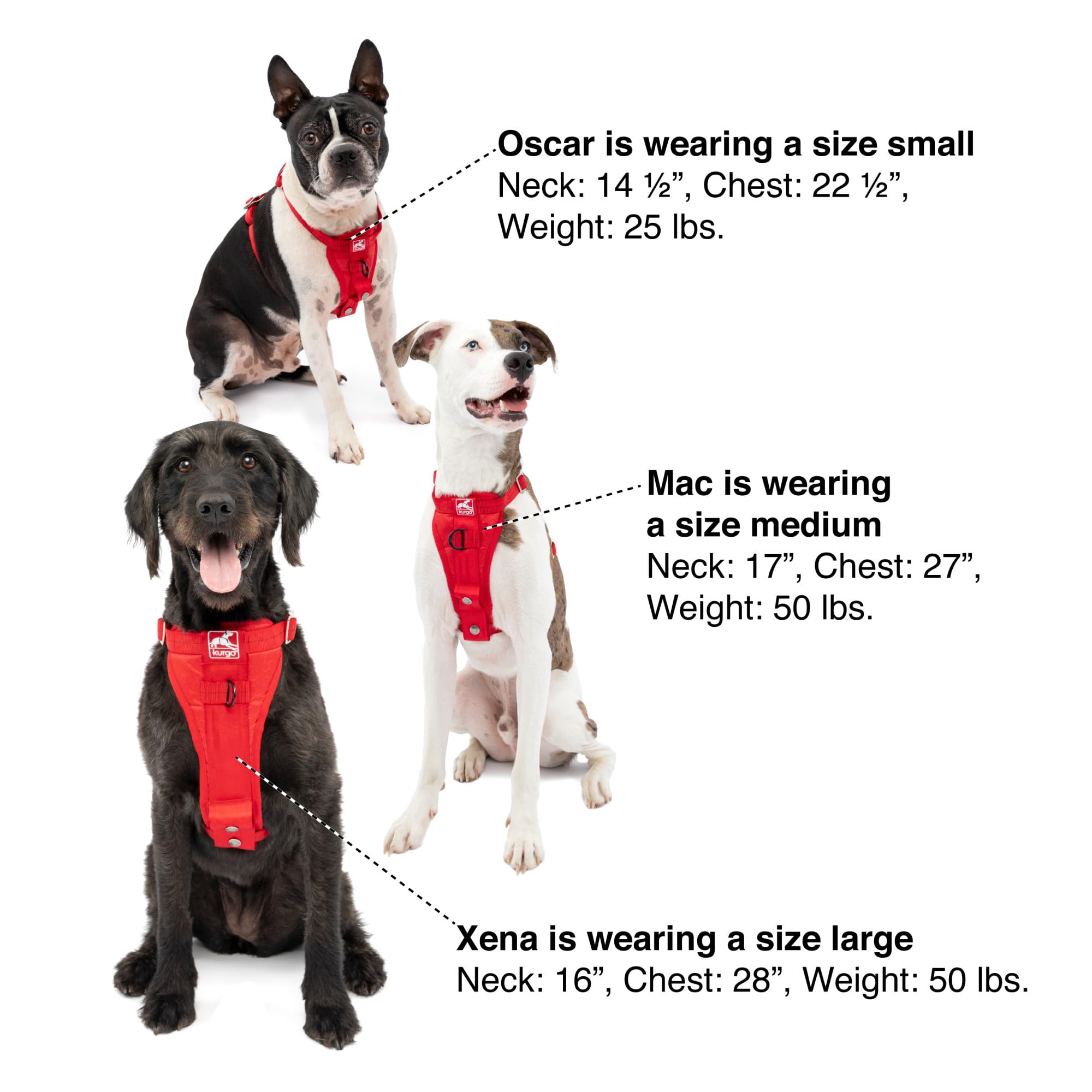 Kurgo Enhanced Strength Tru-Fit Dog Car Harness - Pet Travel Safety Harness - Crash Test Certified Fit - Five Point Adjustment - Secure Buckle - Padded Chest - Black - Small - image 5
