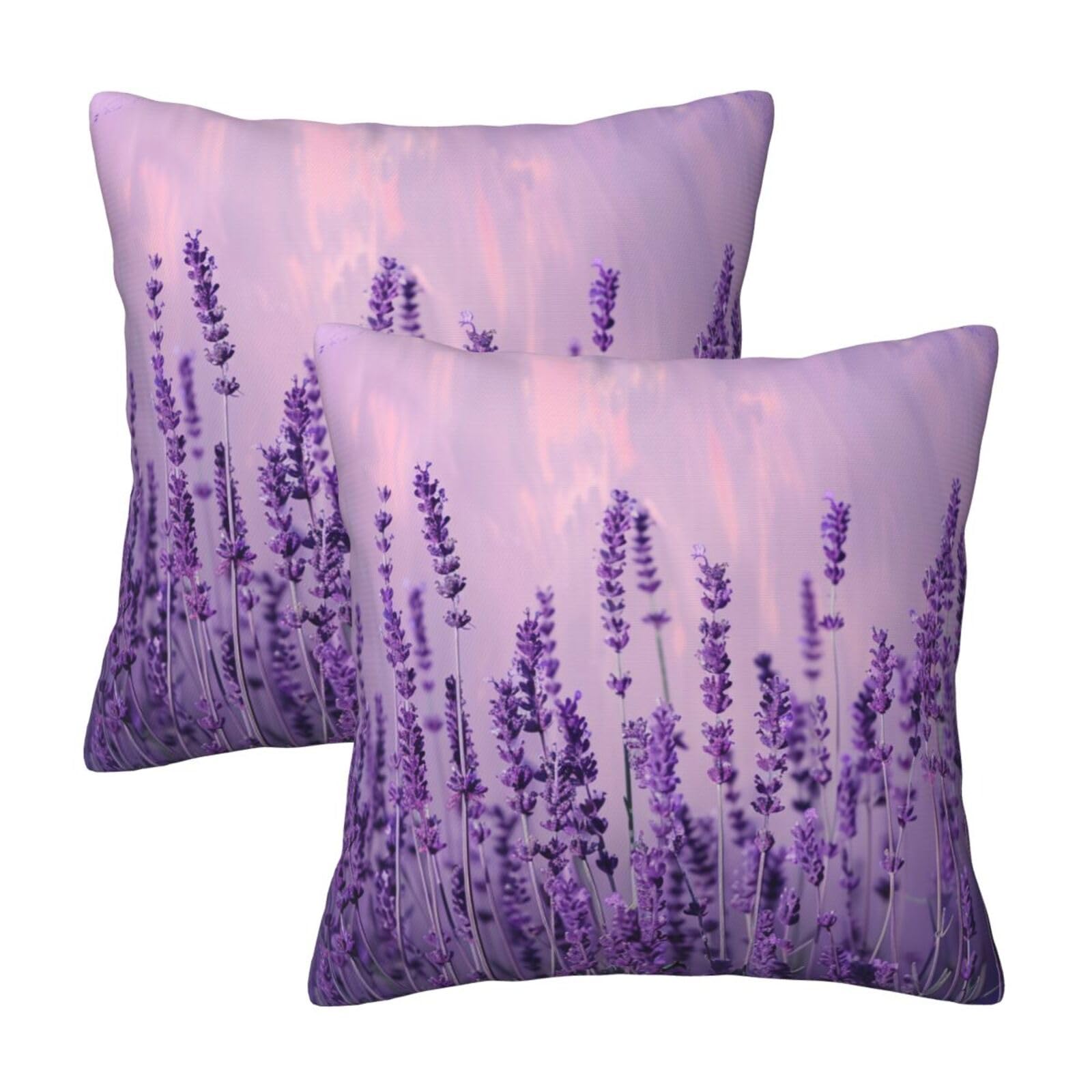 Romantic Lavender Throw Pillow Cases 2 Pack Square Pillowcases Soft Pillow Protectors for Couch Livingroom Sofa Bed Office Car,30x30 CM