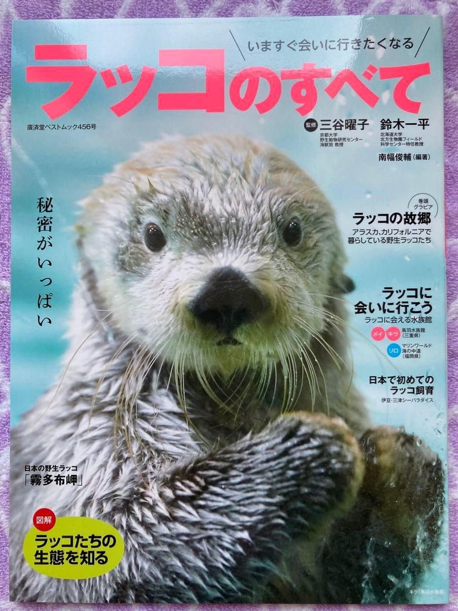 ラッコ 関連 10点セット 鳥羽水族館 マリンワールド海の中道 ラッコ