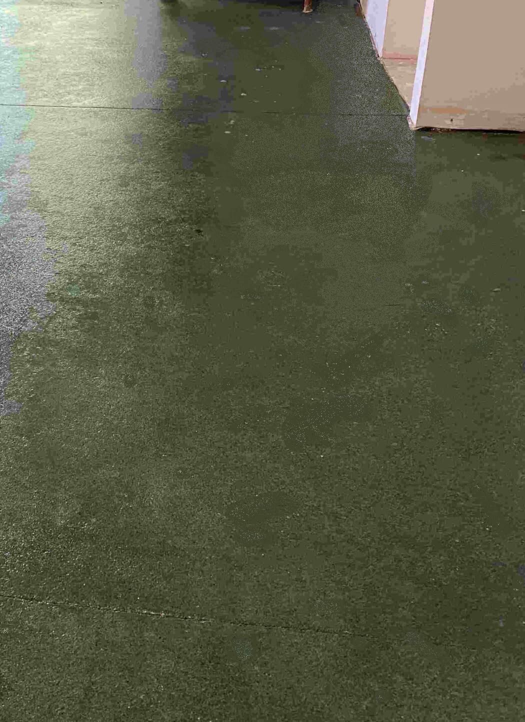 Tecno Prodist - RESIPRO PLUS QUARTZ (750 ml) Resina Puente de Unión con Cuarzo, adhesión rugosa sobre soportes lisos porosos y no porosos, para aplicación de morteros, yeso, baldosas, etc (verde)