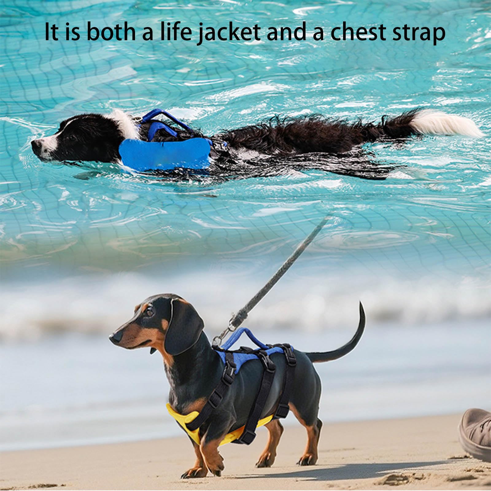 Gilet de sauvetage pour chien - Ceinture réglable - Dispositif de flottaison pour natation et bateau