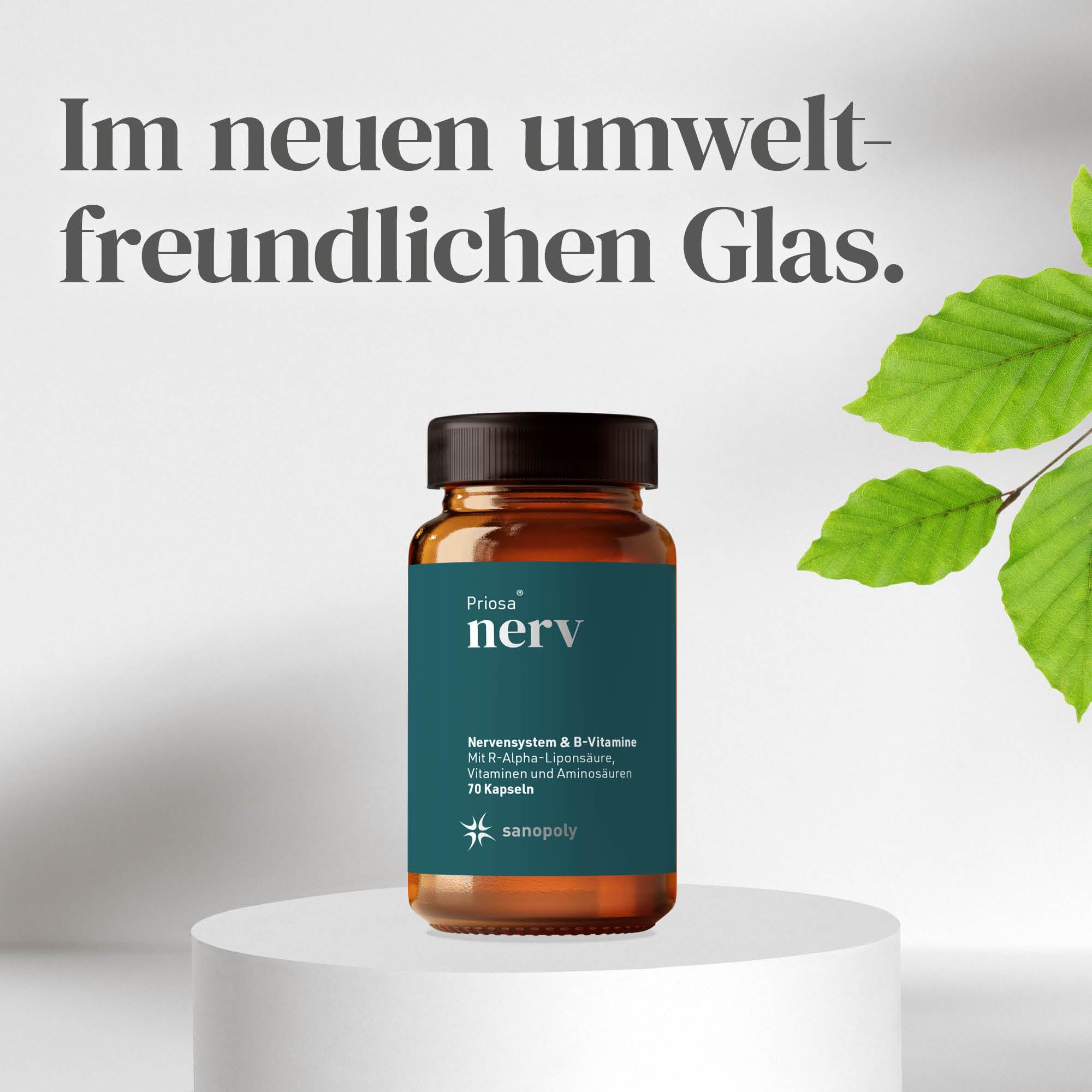 Priosa nerv I 70 Vitamin Kapseln zur Unterstützung der Funktion des Nervensystems I Nahrungsergänzungsmittel mit Vitamin B6 & Vitamin B12