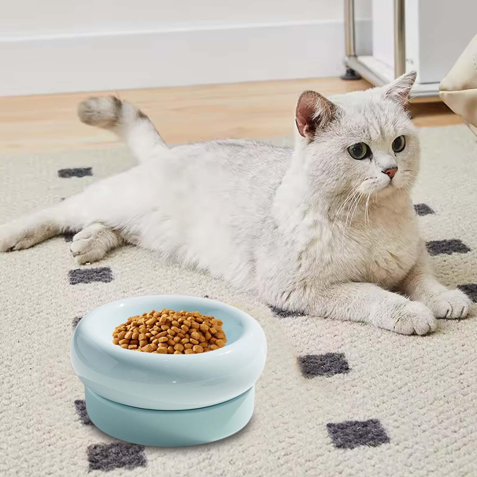 Gamelles mignonnes en céramique pour chat et chiot - Gamelle amovible pour chat - Double gamelle en céramique pour l'alimentation et l'arrosage des chats
