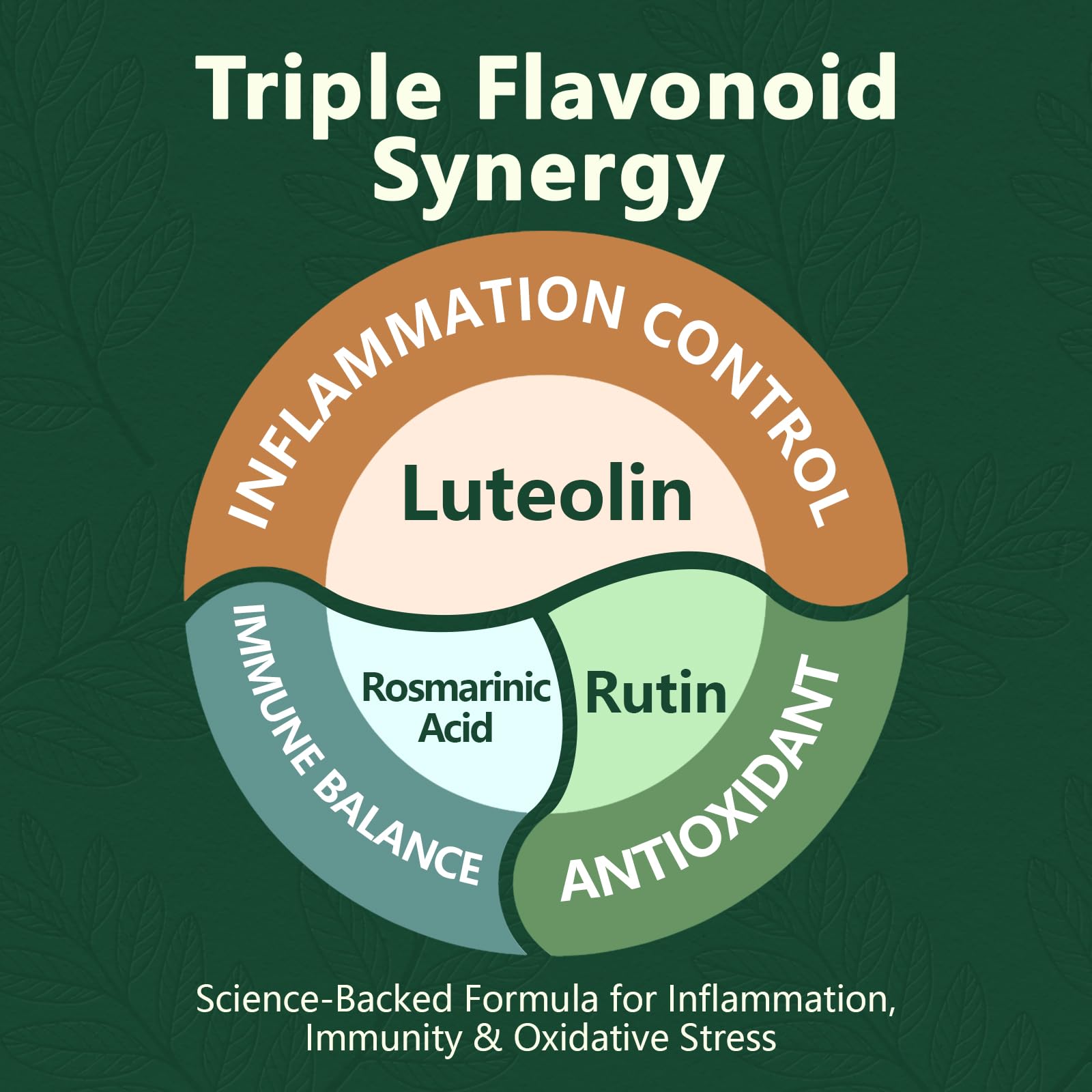 Luteolin Supplement, 98% Ultra-Purity Luteolin Extract – Plant-Based Flavonoid Supplement for Brain Health, Immune Support & Inflammatory Balance – Made in USA, 90 Vegan Capsules — Amazon image 4