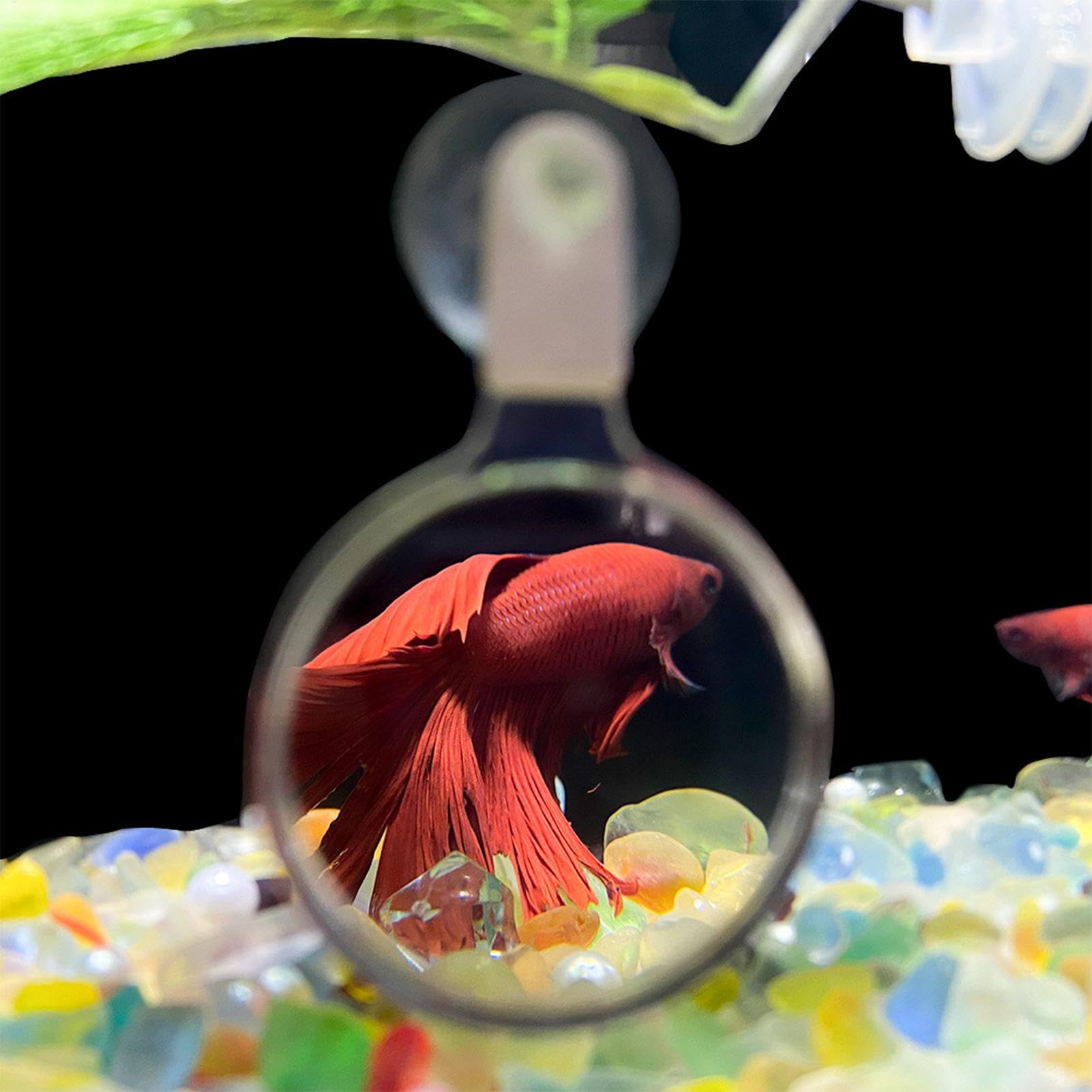 Lente D'Ingrandimento Per Acquario - In Acrilico, Per Osservare Pesci E Piante