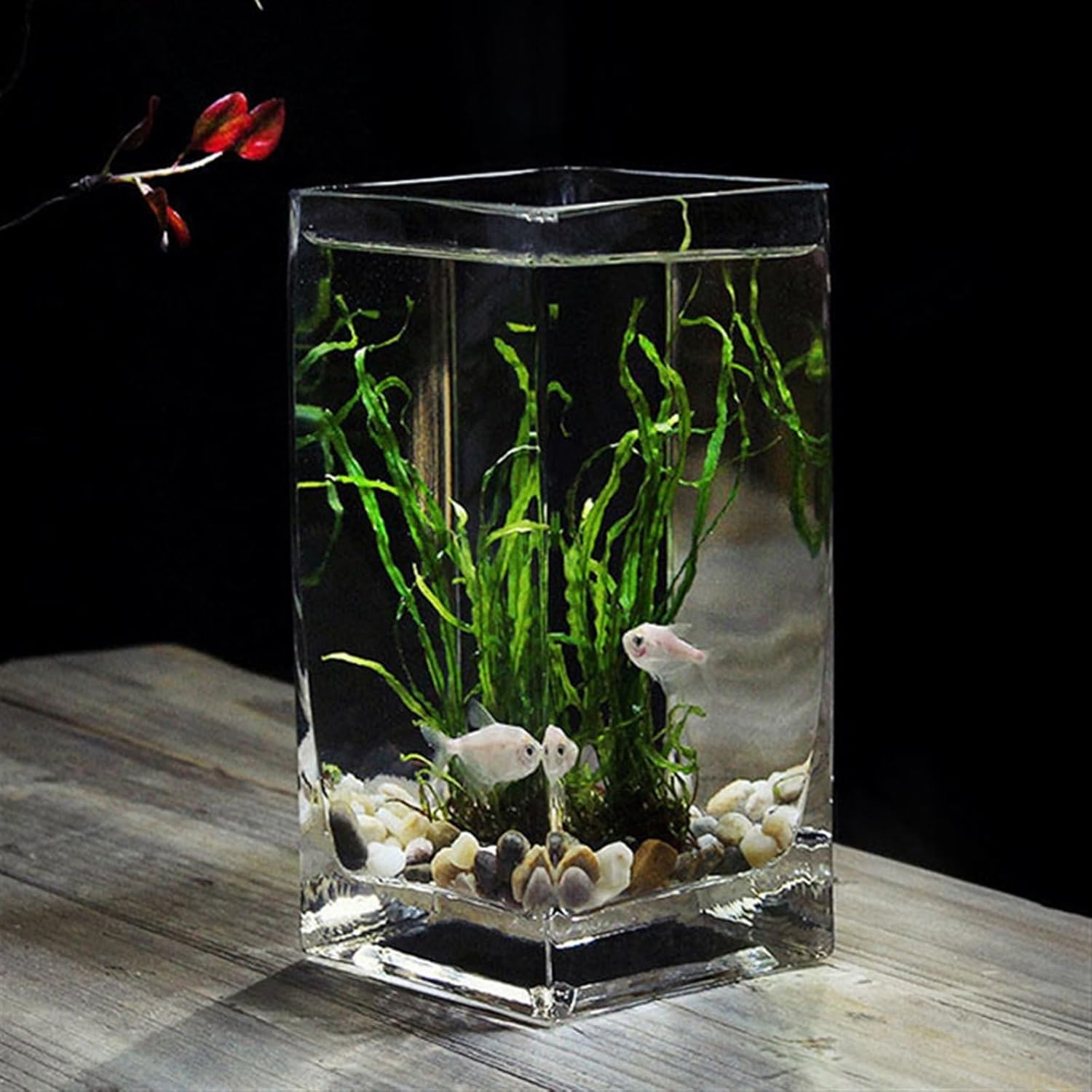 Fish Tank Fish Tank Square High Translucent Fighting Fish Tank with Wooden Base Tropical Fish Tank Thickened Glass Desktop Small Fish Tank Aquarium(Blue02)