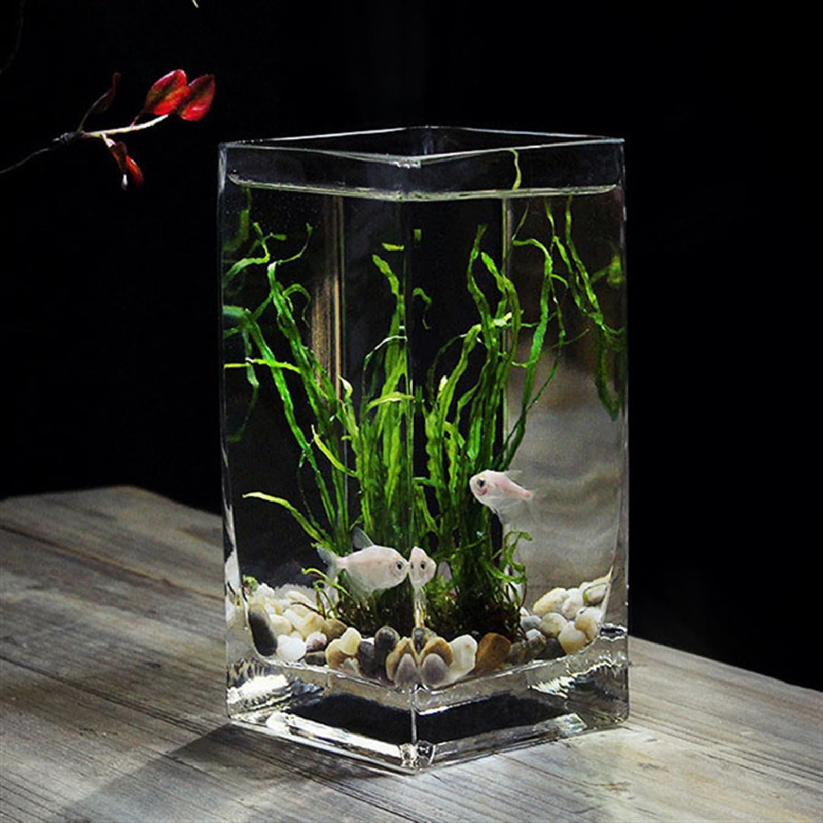 Acquario Acquario Quadrato for Pesci da Combattimento Alto Traslucido con Base in Legno Acquario for Pesci Tropicali Piccolo Acquario da Tavolo in Vetro Addensato Acquario(Green)
