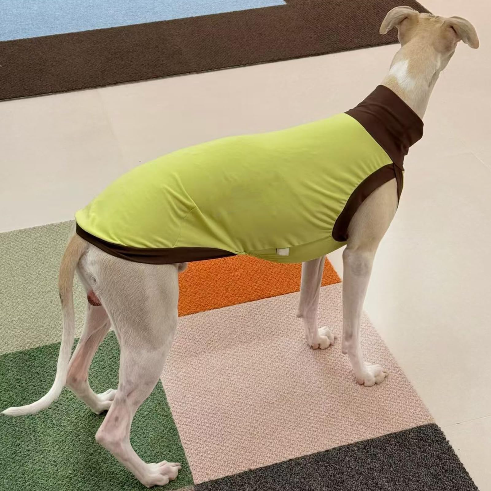 Greyhound Perro Camisa Secado rápido UPF50 + UV Camisa Verano Ligero elástico refrigeración Perro Chaleco Ropa Moda Color Bloque Whippet Camiseta para Perros pequeños y