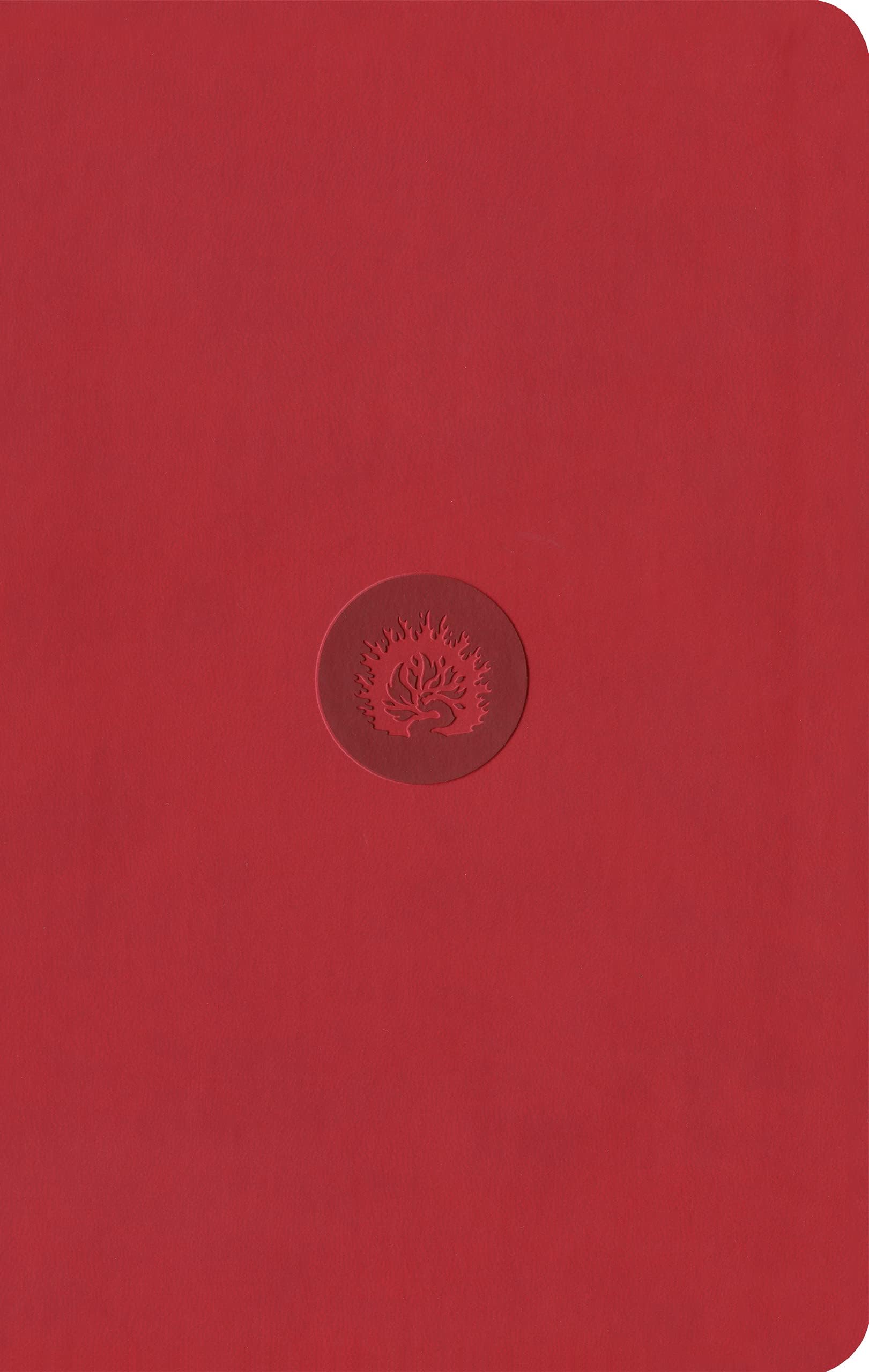 ESV Reformation Study Bible, Student Edition - Red, Leather-Like