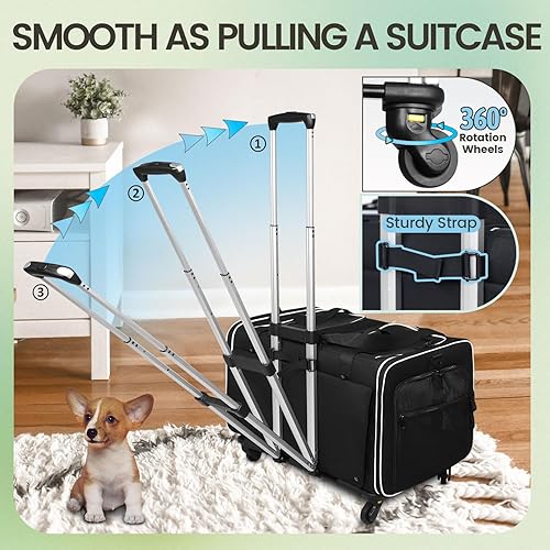 Miniatura 4 de Petskd Transportador de mascotas grande con 2 compartimentos para 2 gatos o un perro mediano, 24 x 17 x 15 pulgadas, transportador doble para gatos