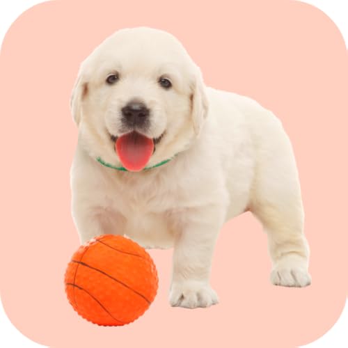 Squeaky Toy Sounds