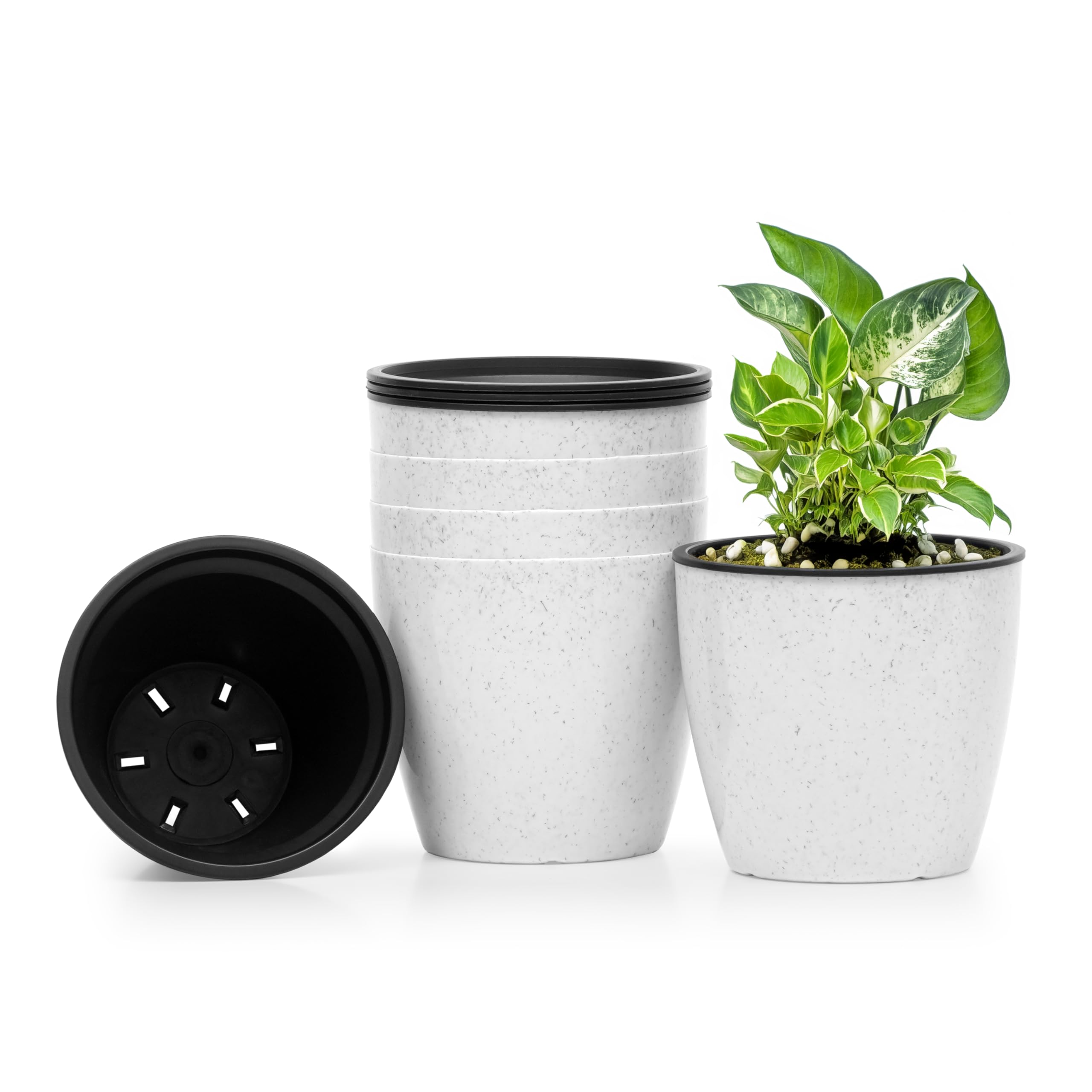 Livzing 6 inch Self Watering Flower Pot with Drain Holes Gamla Gardening Plant Pots for Home Decor Plastic Planters for Indoor Outdoor Plant Container Set Balcony-Terrace (Pack of 5, White Dot) (B0DFC3VZH5) Amazon Price History, Amazon Price Tracker