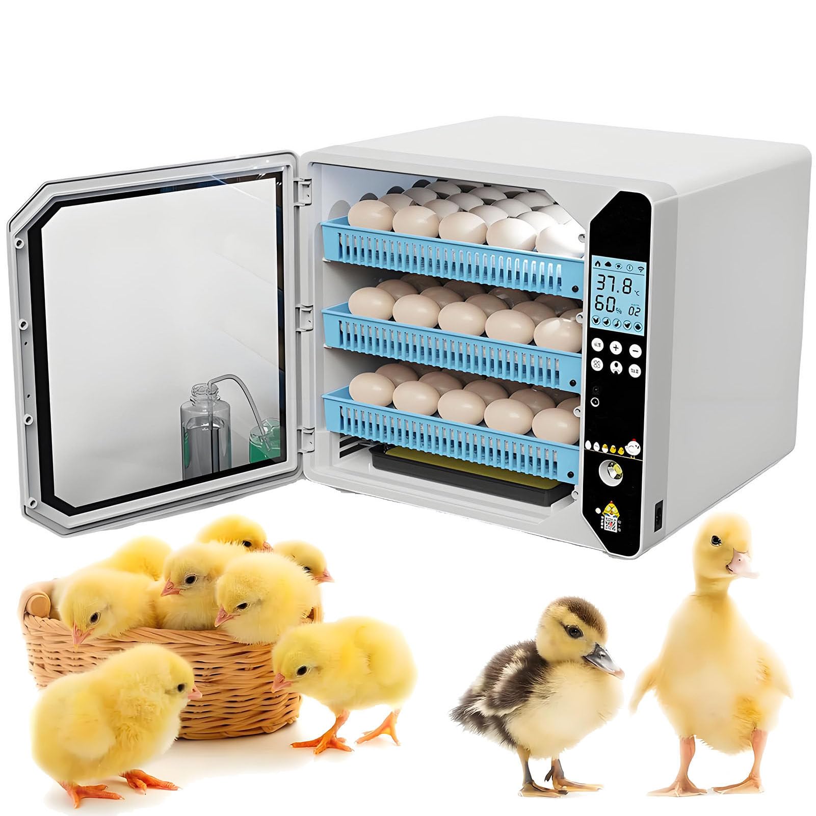 Incubatrice automatica per uova di quaglia, controllo dell'umidità per 70-262 uova, incubazione 3 in 1, 2 strati per una cura ottimale delle uova