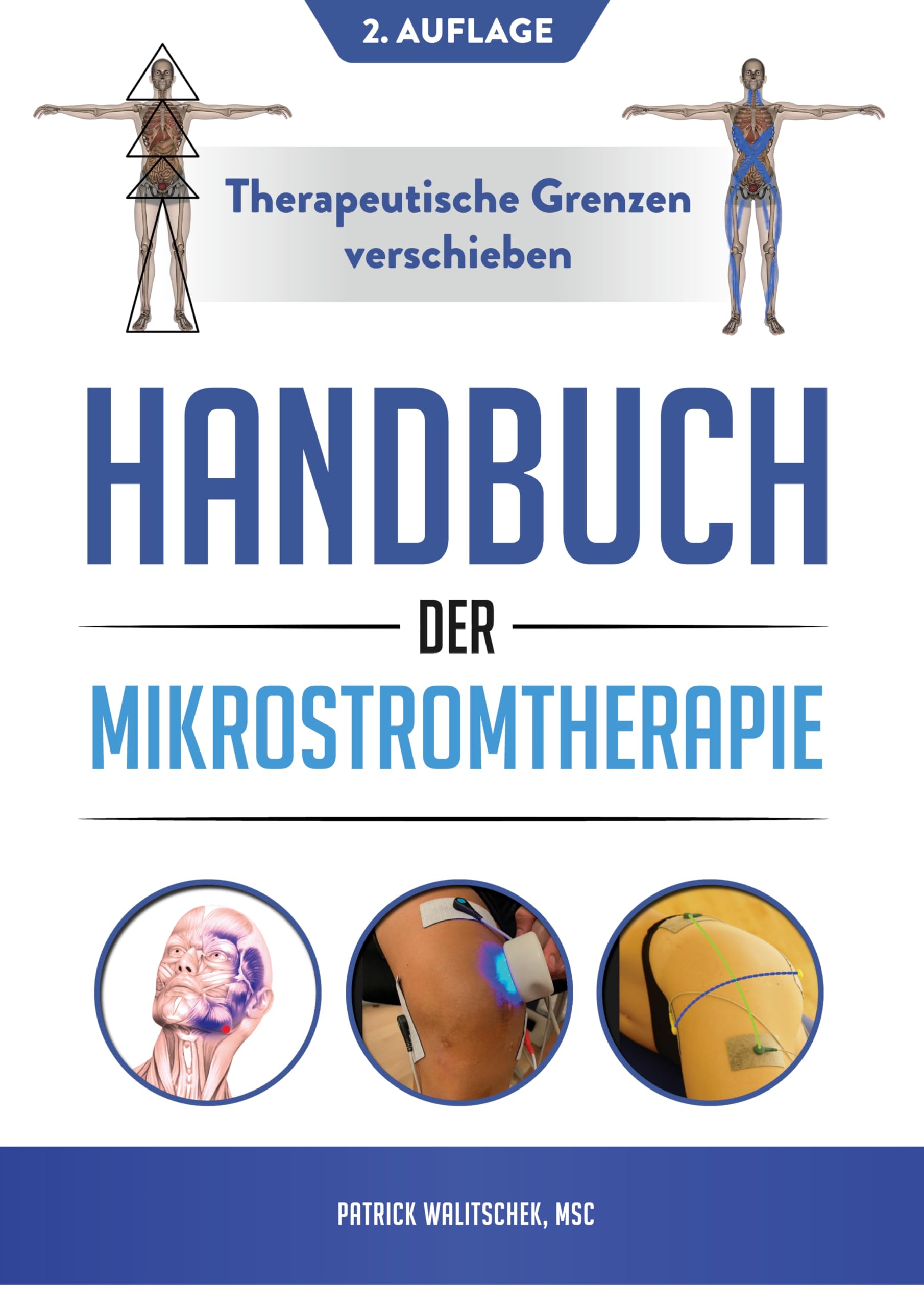 Handbuch der Mikrostromtherapie: Weg vom Symptom, hin zum System - 2. Auflage