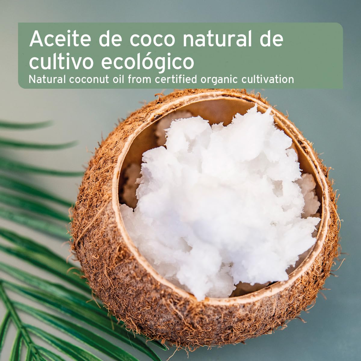 AniForte Aceite de Coco orgánico para Perros y Gatos 1 litro Grado alimenticio - Virgen, sin refinar, Alto Contenido de ácido láurico, Cuidado del Pelaje, Patas y Piel, orgánico, suplemento para Barf