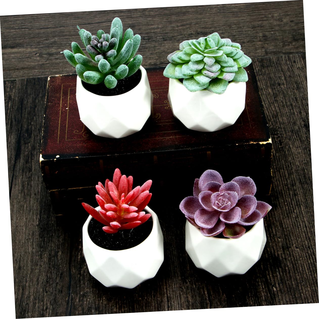 Alipis Plante Grasse Artificielle en Pot 4 Pièces, Céramique PVC | Décorations de Bureau et Comptoir, Formes Variées, Rendu Vivant, Idée Présent Créative