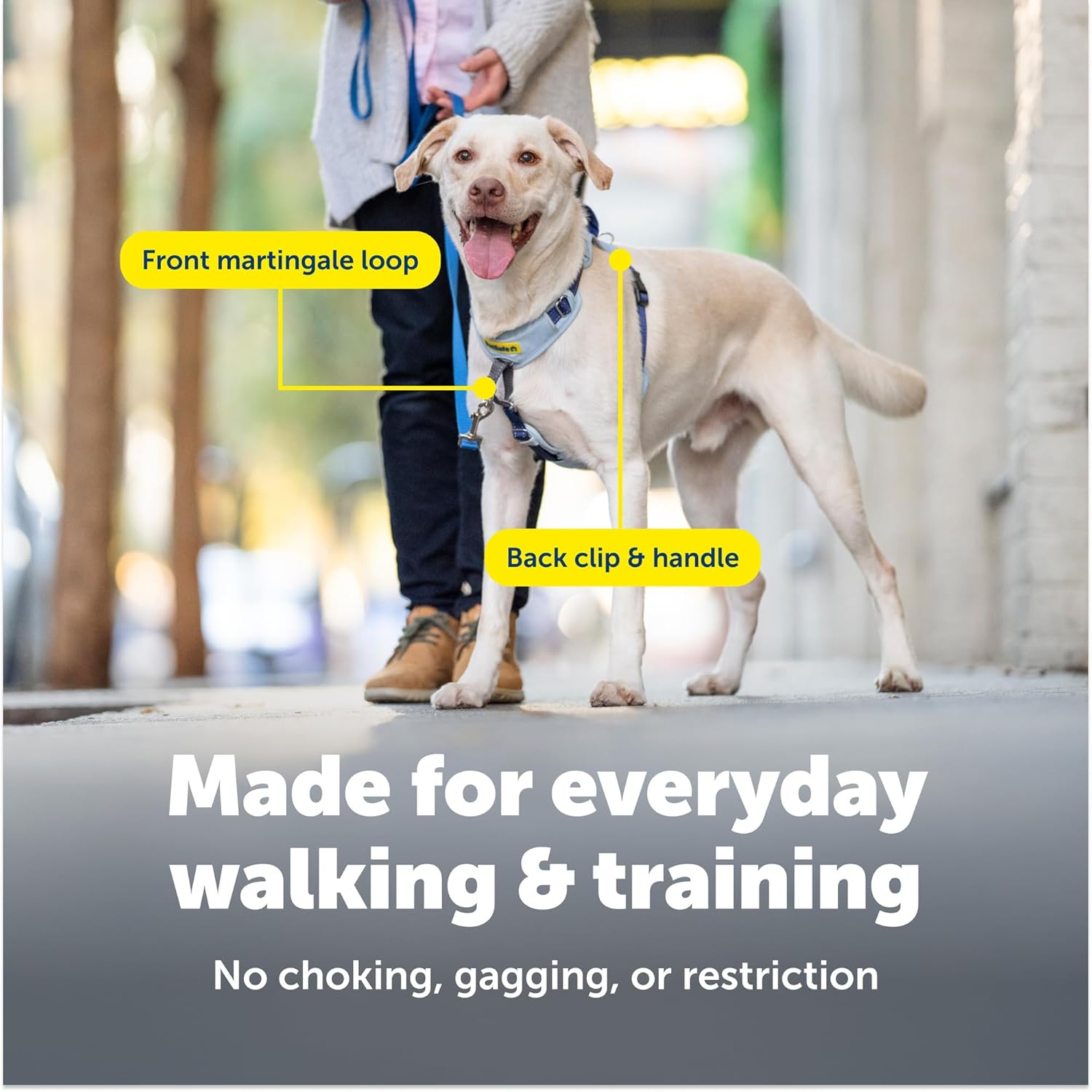 PetSafe Easy Walk Comfort No-Pull Dog Harness - Better Walk Training Harness - Full Body Padded Design - Durable Fabric - 5 Point Adjustable Fit - Everyday Leash Training - Black - Medium/Large