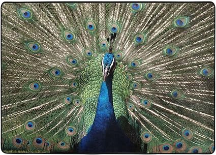 Amazon 孔雀の羽 ピーコックカーペットの塗装と印刷 柔らかなインテリアの大きなモダンな模様のふわふわのフロアカーペット ベッドルーム キッチン リビングルーム お手入れが簡単 80 X58インチ Dcehgew ホーム キッチン