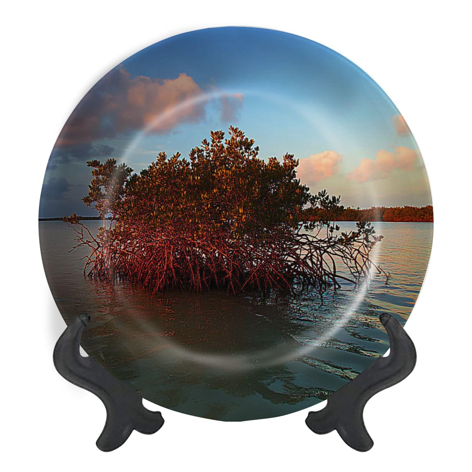 Decorative Plates for Display Red Mangroves Florida Bay Gift Plates Ceramic Collections Plates Hanging Artwork for Living Dining Room Kitchen Souvenir