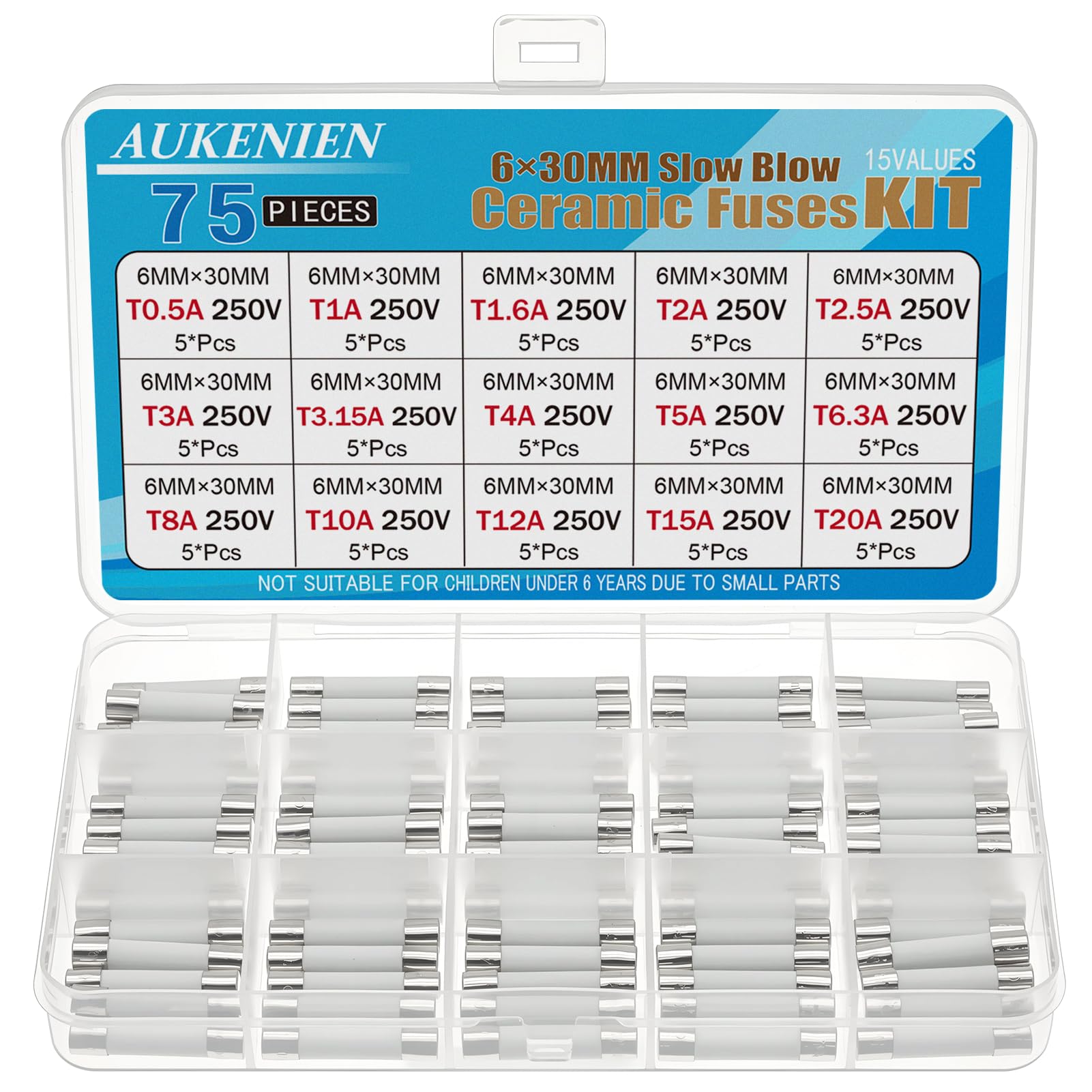 AUKENIEN 6X30MM Slow Blow Ceramic Fuses Kit 15 Values 0.5A 1A 1.6A 2A 2.5A 3A 3.15A 4A 5A 6.3A 8A 10A 12A 15A 20A 250V 6X30 MM 0.5 1 1.6 2 2.5 3 3.15 4 5 6.3 8 10 12 15 20 Amp 250 Volt Time Delay Fuse