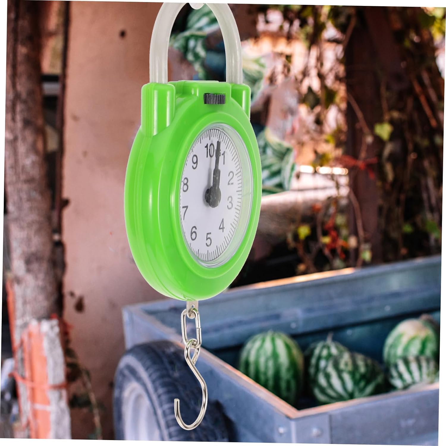 Portable Manual Luggage Scale with Hook, 10kg Green Spring Scale