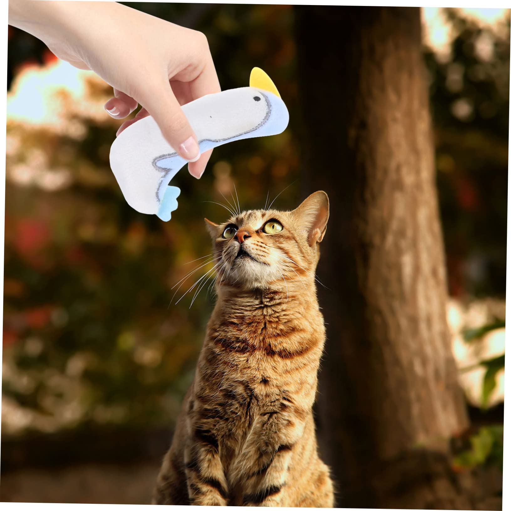 VANZACK 25stücke Teiliges Katzenminze Plüschspielzeug Interaktive Kauspielzeuge Für Katzen Lustige Und Weiche Kissen Für Kätzchen Niedliche Designs Dinosaurier Huhn Und