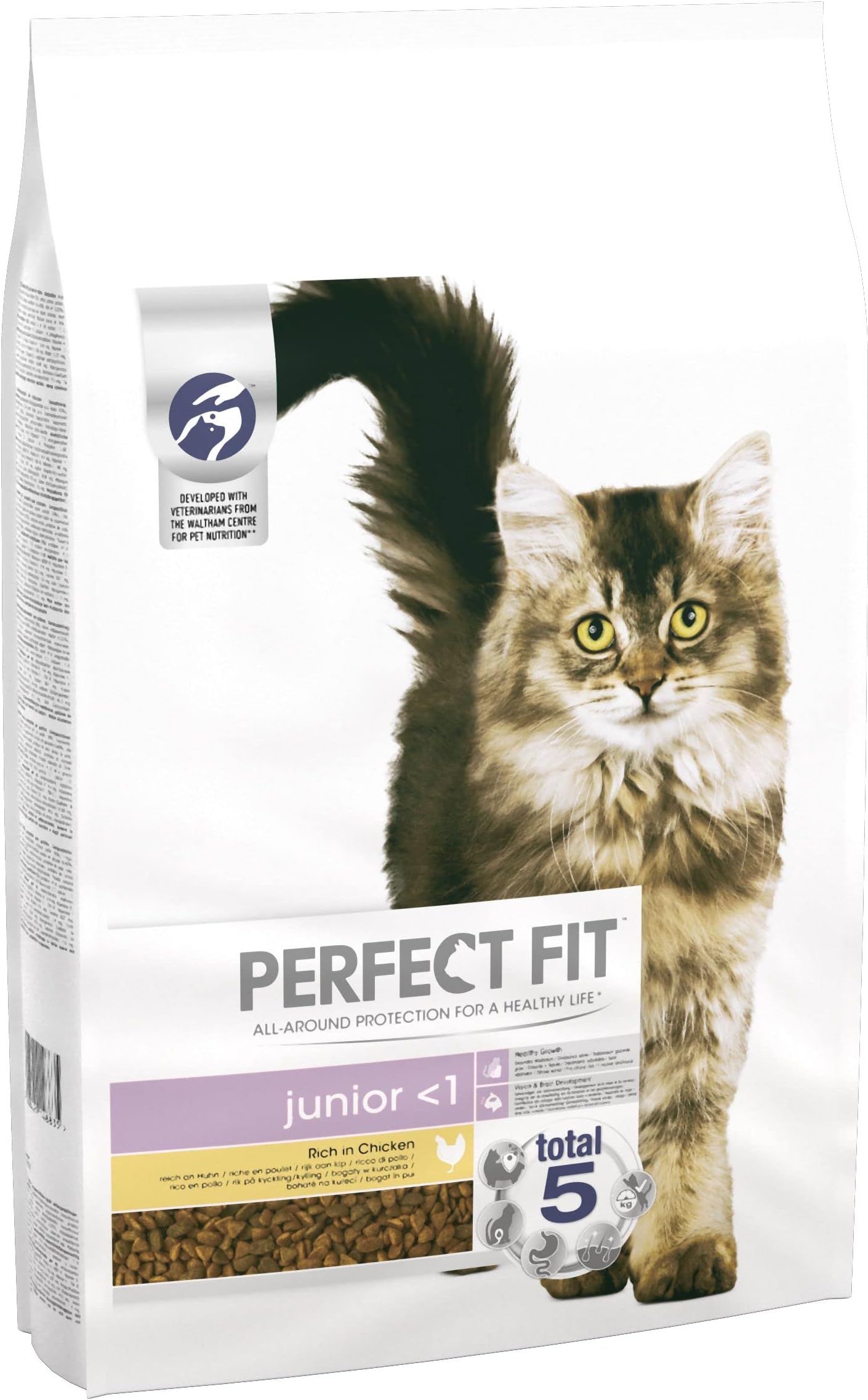 Dry Cat Food Junior - Complete Dry Food for Junior Cats Less than 1 Year Old, Rich in Chicken – 7 kg (Pack of 1)