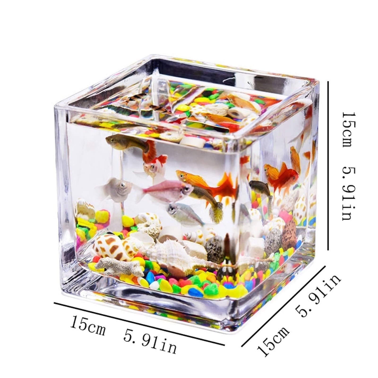 Fish Bowls Hydroponic Plant Container Fish Tank Glass Square Thickened Transparent Aquarium Tank Countertop Small Home Tank for Aquariums Ecological Turtle Tank Ornaments Aquarium Entry Fish Tank ( Si : Pet