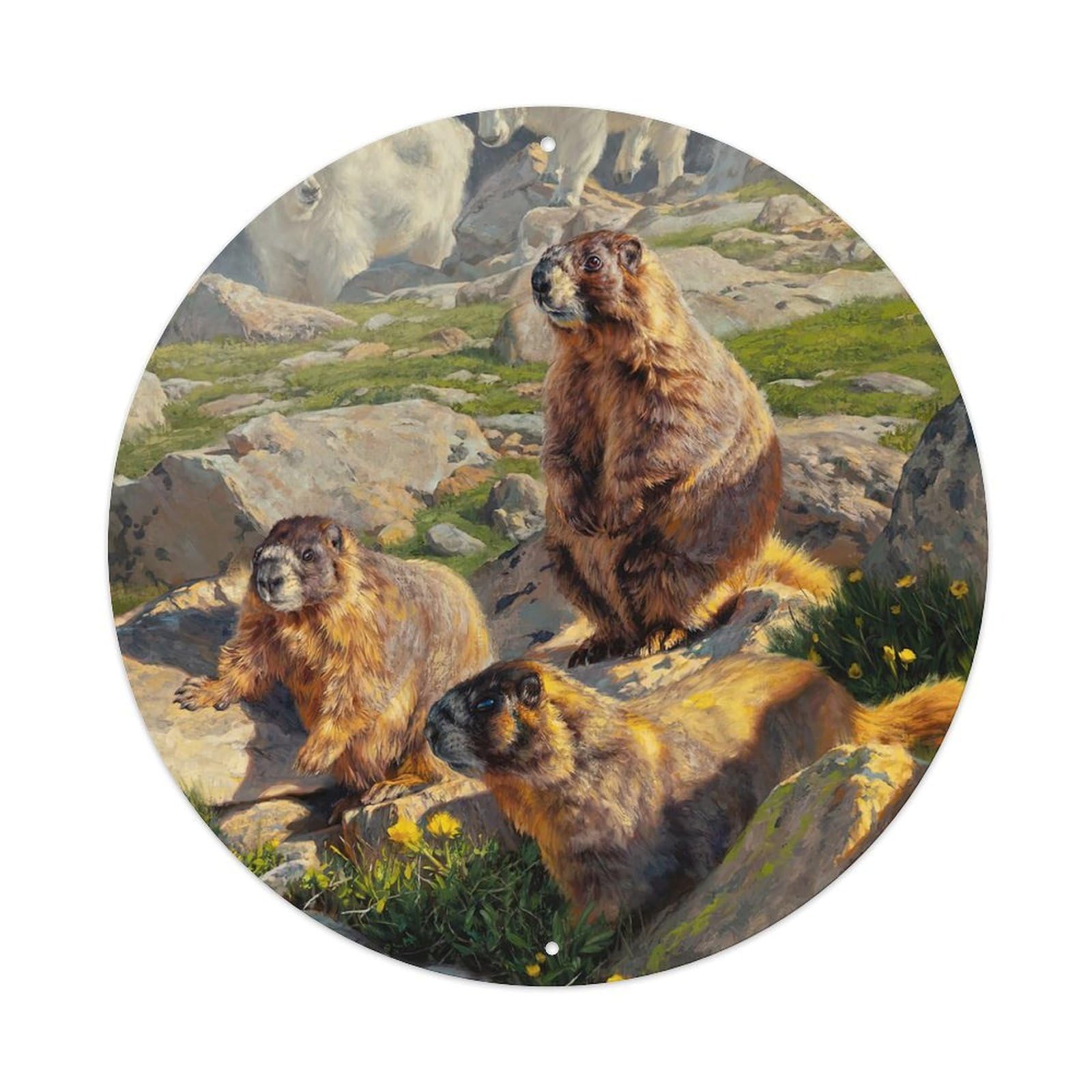 Animal Artwork Cute Groundhog Metal Tin Sign