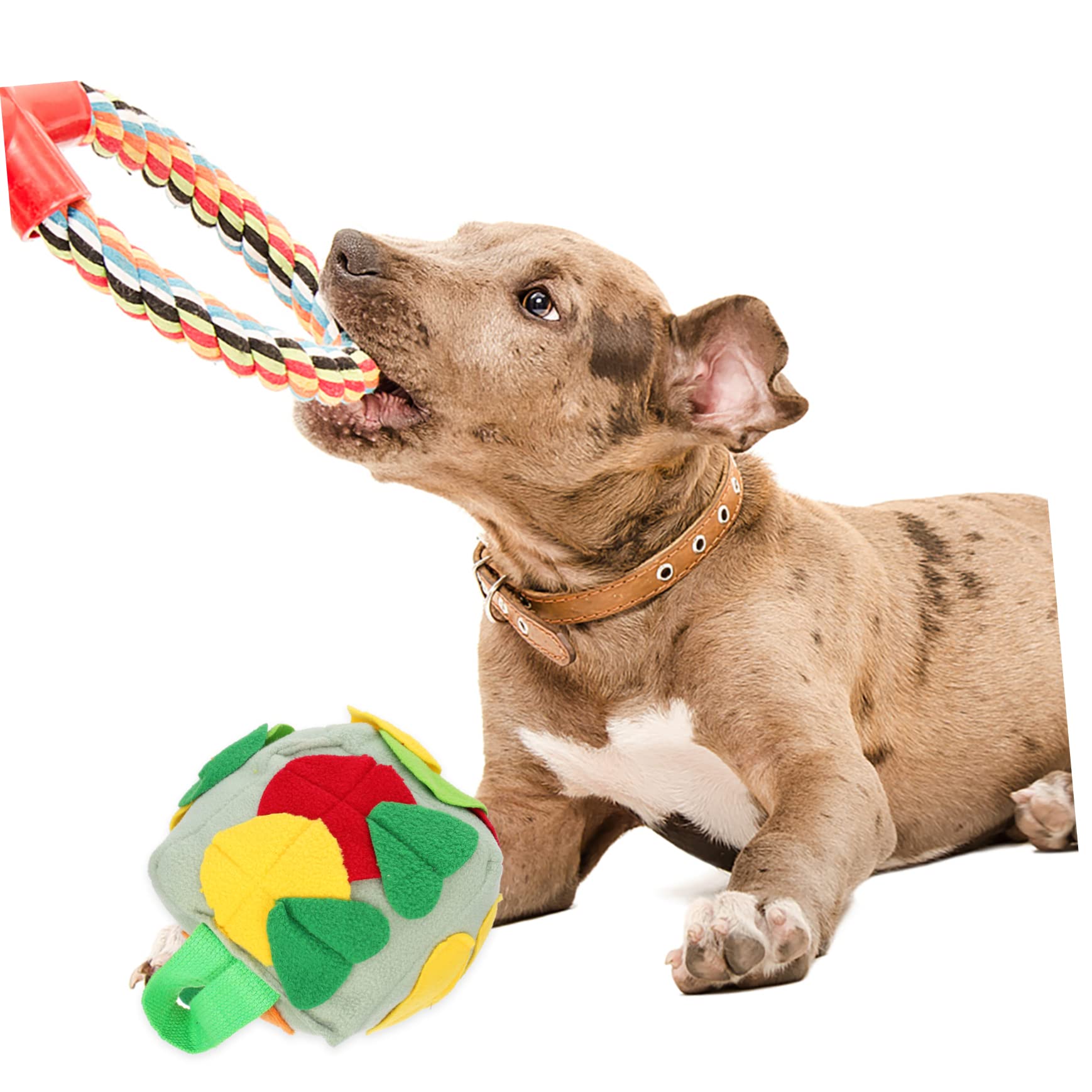 BESPORTBLE 3stücke Futterspielzeug Für Hunde Interaktiver Schnüffelball Und Kauspielzeug Für Langsames Fressen Foraging Und Spiel Lebendige Grüne Farbe Fördert Geistige Stimulation Und