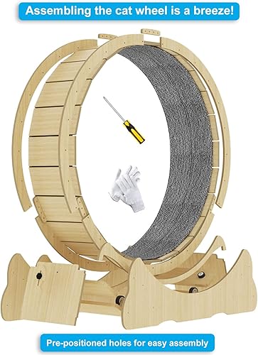 Miniatura 6 de Ejercitador de ruedas para gatos de interior con pasador de bloqueo. Rueda de ejercicio para gatos de gran diámetro hecha de madera maciza natural.