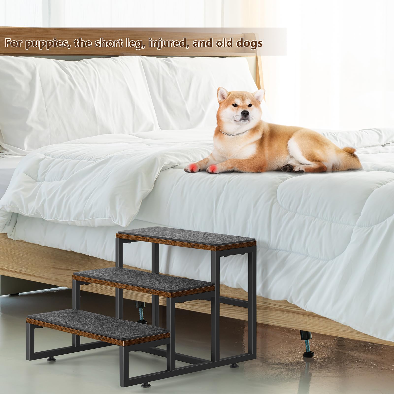 Escalier à 3 Marches Pour Petits Chiens, Avec Espace De Rangement