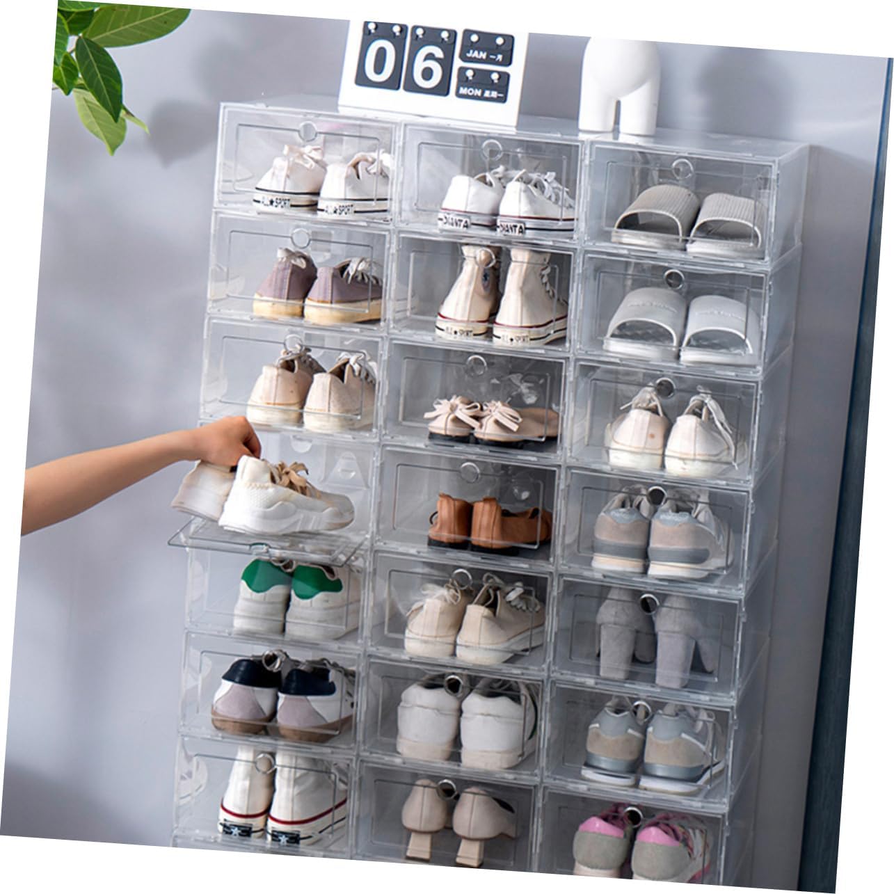 Cabilock 6pcs Shoe Display Case Lids Shoe Boxes Organize Sturdy Plastic Storage Container