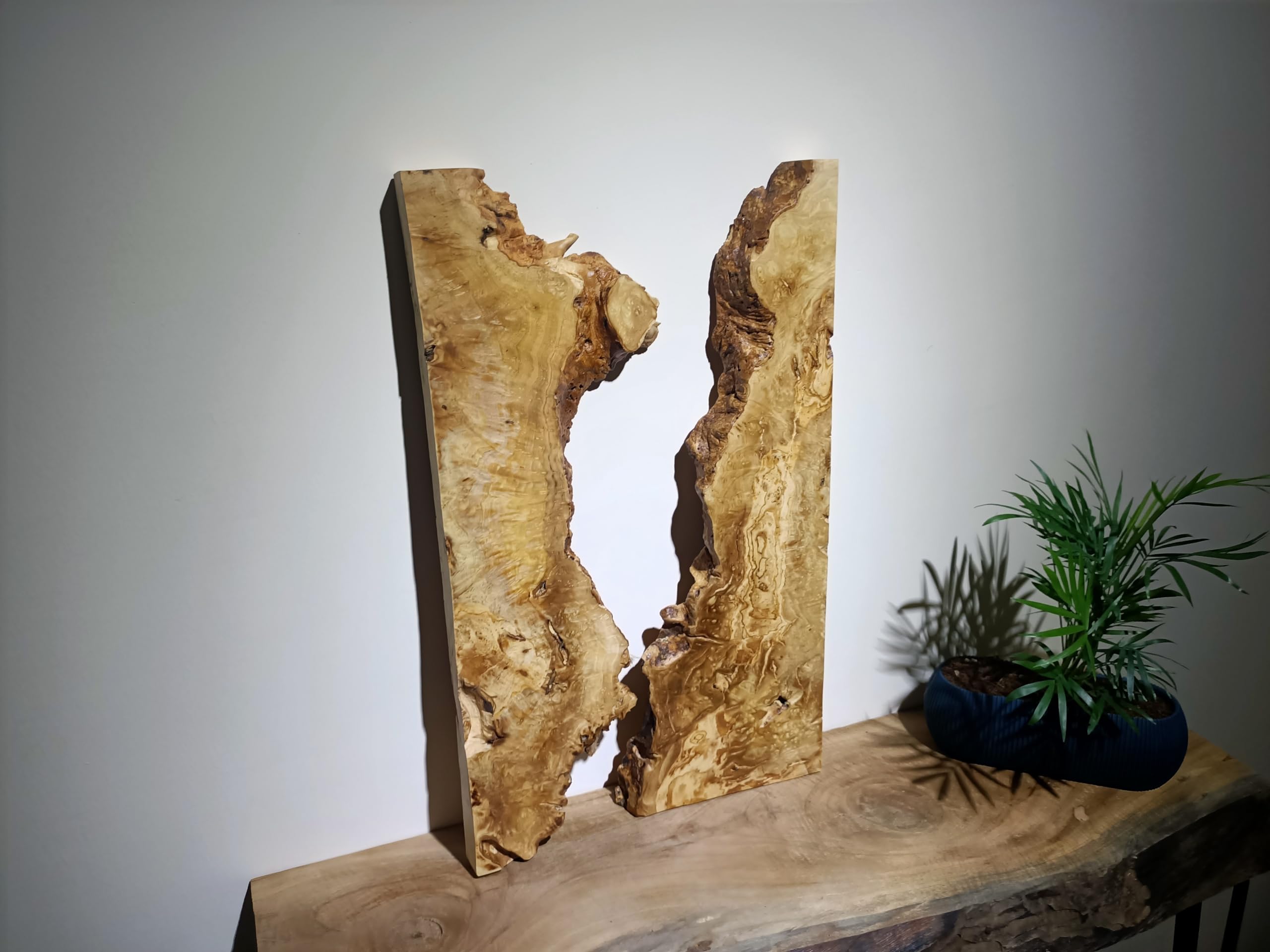 Live Edge Olivenholzplatte für Heimwerker und Epoxy-Flusstisch, fertig zum Harztisch, gerodete Holzplatte für Epoxidharz-Holz, Wurzelholz I von skilled hands (2), WS02