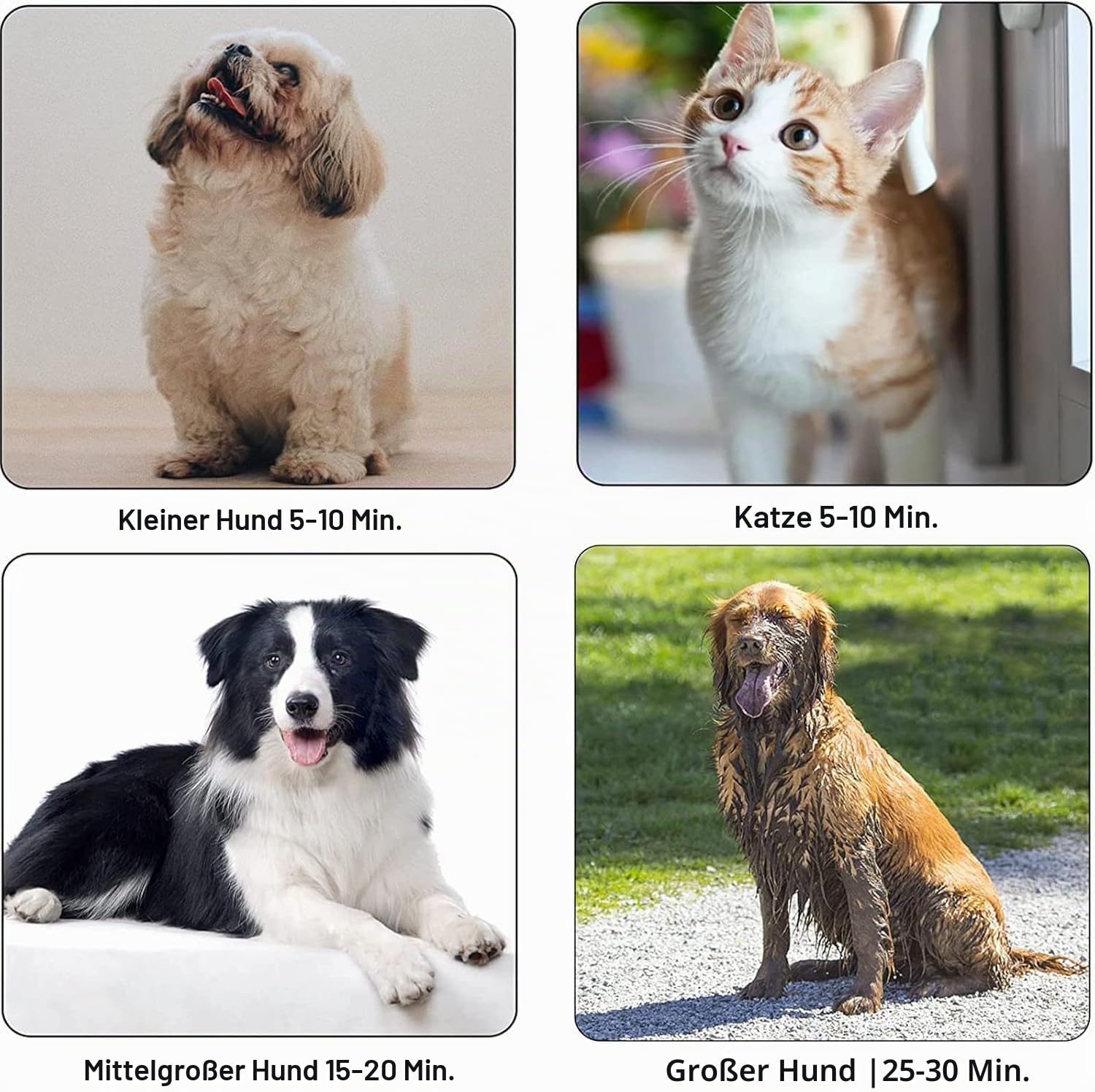 Hundefön Hundetrockner,2800W Hundehaartrockner, einstellbare Geschwindigkeit und Temperatur, geräuscharmer Hundetrockner Pet Grooming mit 4 Düsen für den privaten und professionellen Einsatz (Schwarz)