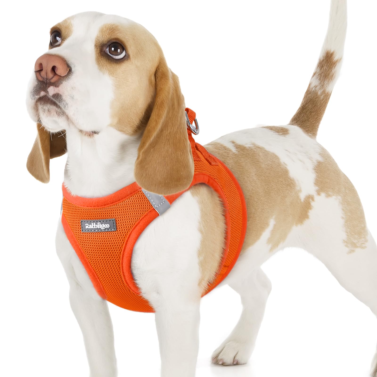 rabbitgoo Hundegeschirr kleine Hunde, Step-in Soft Mesh Hundegeschirr mit Sicherheitsverschluss, atmungsaktives und reflektierendes Welpengeschirr für kleine Hunde