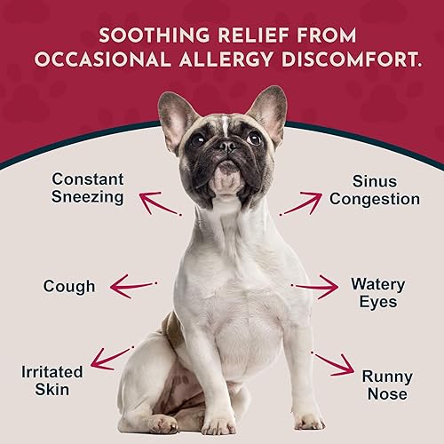 Vista 8 de Animal Essentials Alergia estacional para perros y gatos, alivio de alergias, raíz de regaliz, apoyo estacional, gotas líquidas, fórmula herbaria