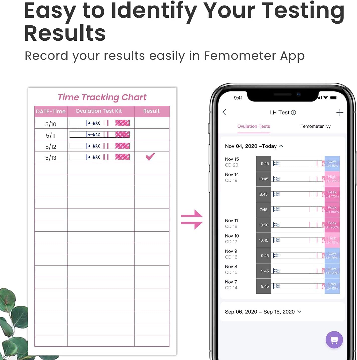 Femometer 40 Ovulation Test Strips and 10 Pregnancy Test Strips Combo kit, Sensitive Fertility Predictor Testing Strips Kits with Accurate Results, 50 PCS : Health & Household