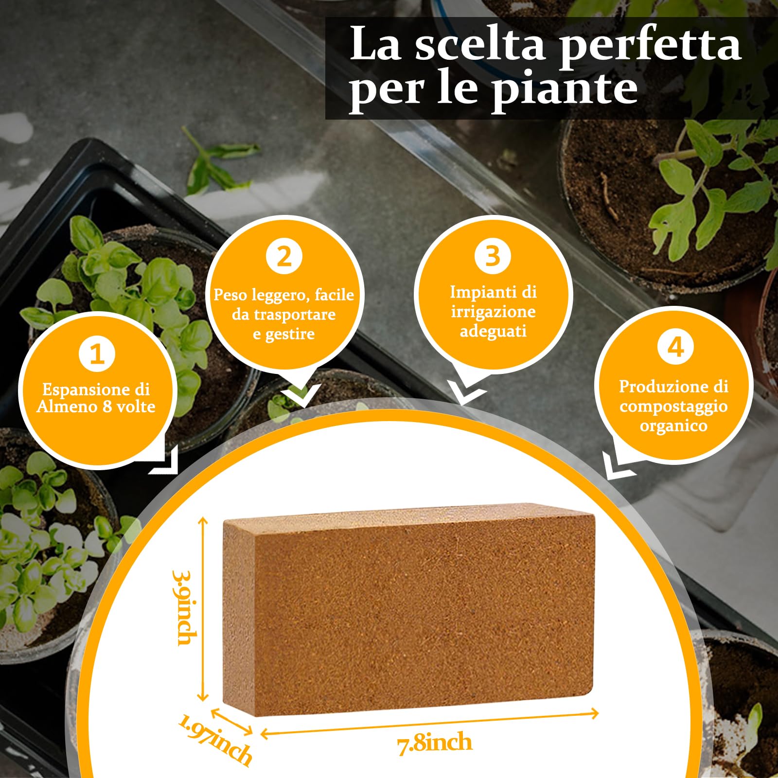 Riare 2 x 650 g di mattoni di cocco organici, 100% naturale, 16 l, substrato in fibra di cocco ad alta espansione, nocciolo di cocco per giardino (2)
