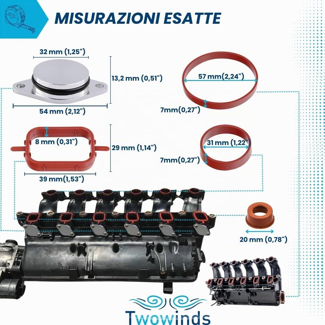 Twowinds Kit Annullare Farfalle Collettore - (6 tappi, 20 Guarnizioni)